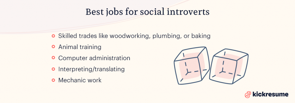 Pekerjaan terbaik untuk introvert 
