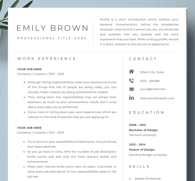Templat resume yang tampak bersih dengan tajuk berisi nama kandidat, jabatan, dan profil resume.
